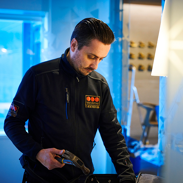 oryggiskerfi uppsetning lit