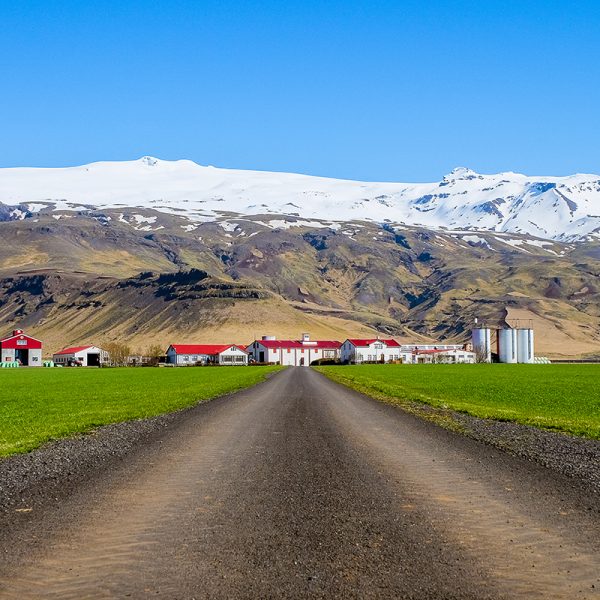 shutterstock_1595657914 adgengi ad bylinu