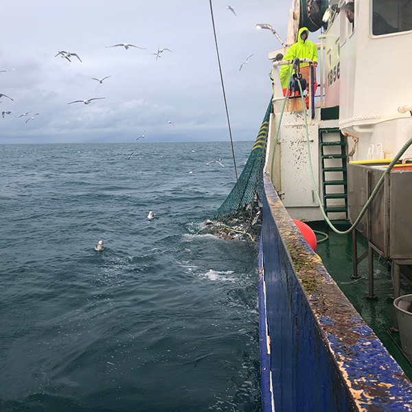 Eldvarnarbúnaður um borð í fiskiskipum frá Securitas