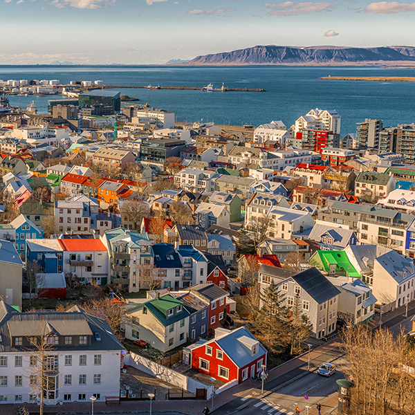 Dyrasímakerfi fyrir ný og eldri hús color